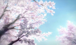 樱花动漫网站官网,探索日本动漫文化的魅力之门